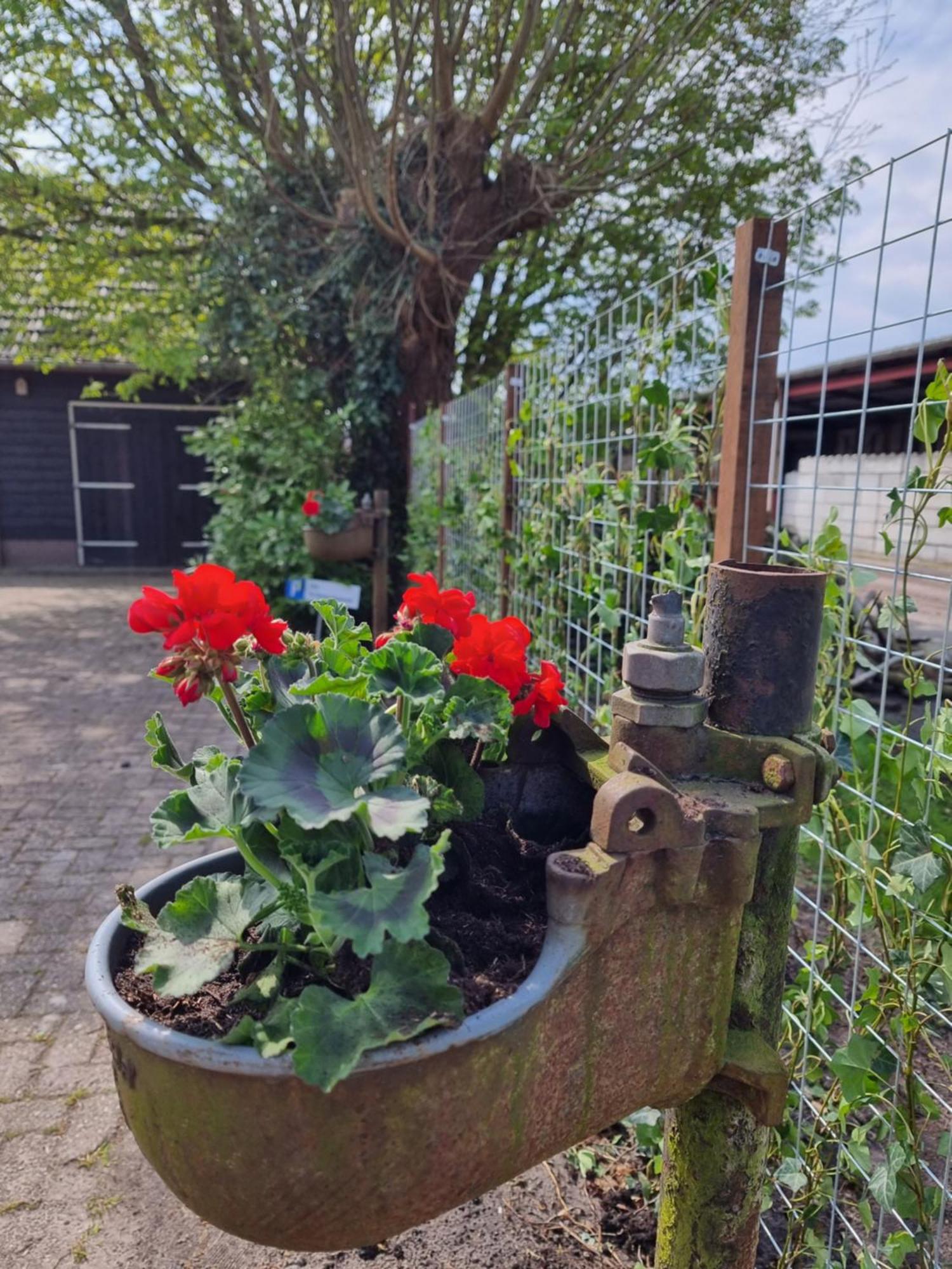 De Schotse Hooglander Bed & Breakfast Smilde Bagian luar foto