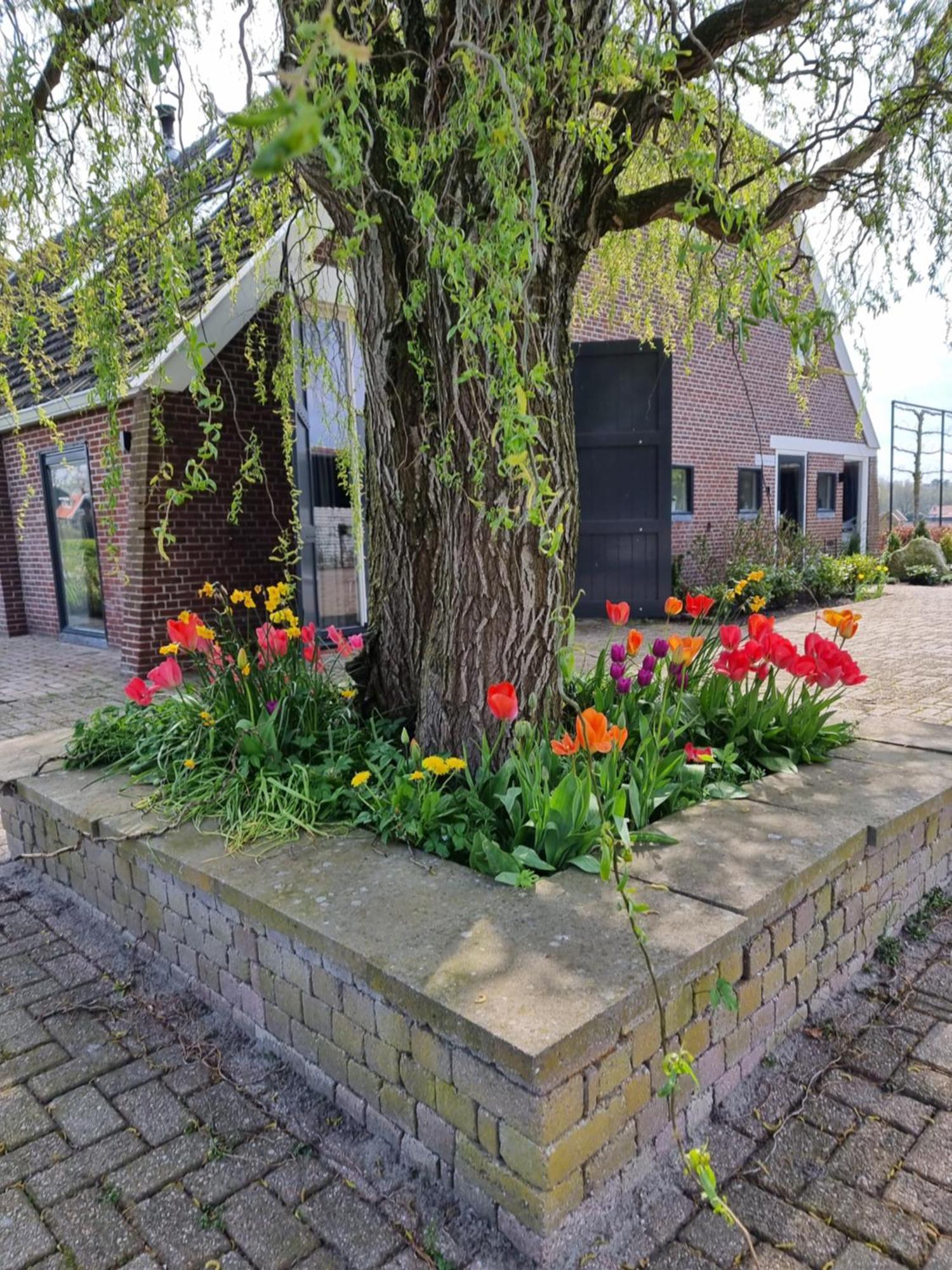De Schotse Hooglander Bed & Breakfast Smilde Bagian luar foto